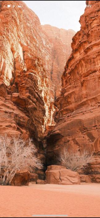 Salem Wadi Rum Road