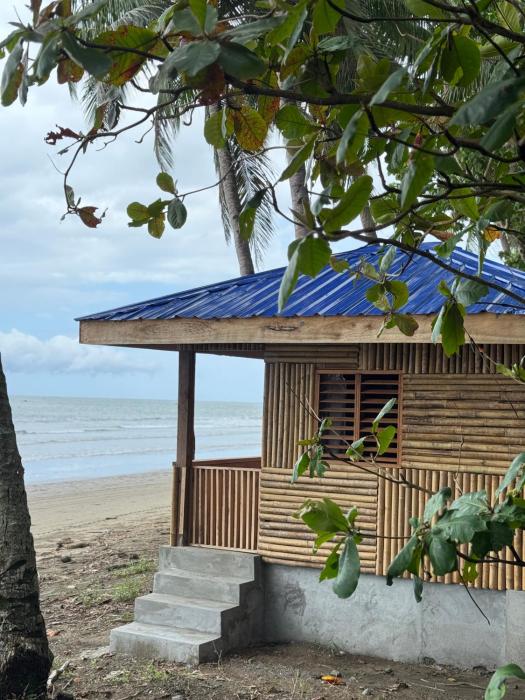 Payapa Beach & Cottages