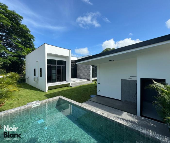 Noir Blanc Modern Villa