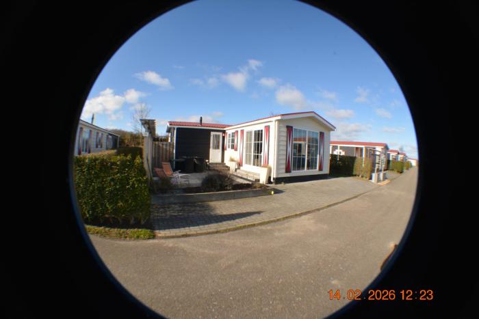 ZEEMEEUW - Platz 31, Olmenduin