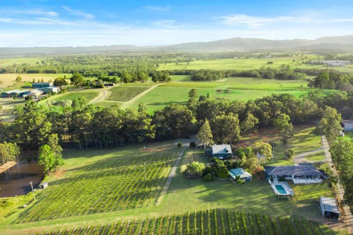 Palmers Lane Vineyard Homestead and Cottage