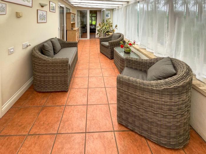 Mimosa - Uk51224