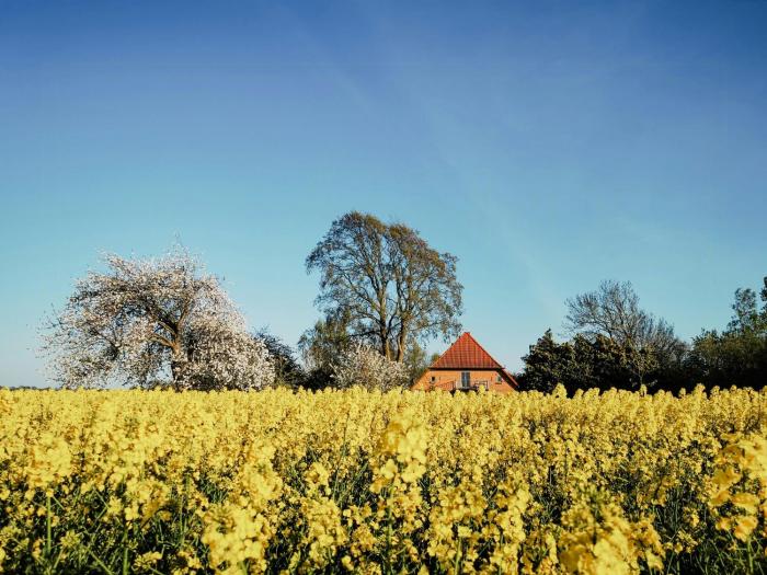 Modernity In Farmhouse With Lagoon View