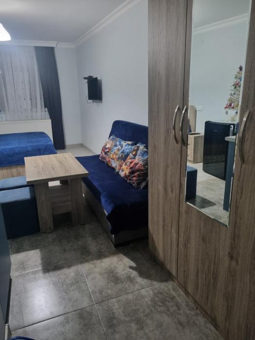 Sando Apartment Borjomi