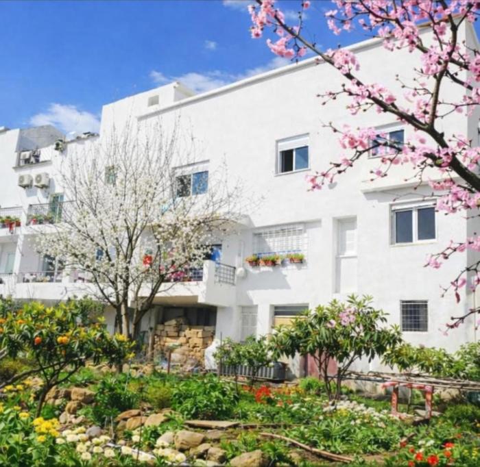 Taza Apartment with view park and restaurant