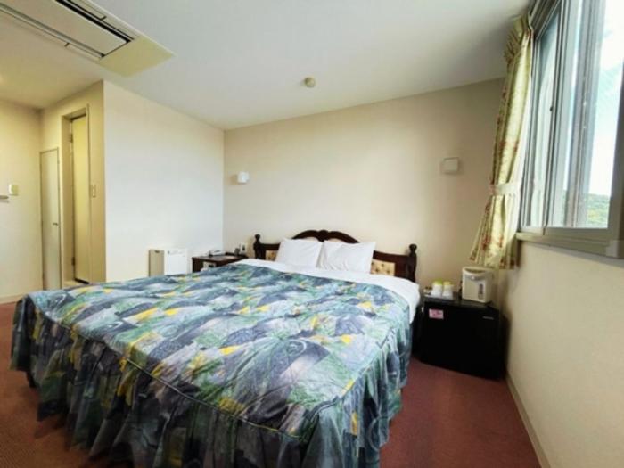 Aoikuni Hotel - Vacation STAY 26749v