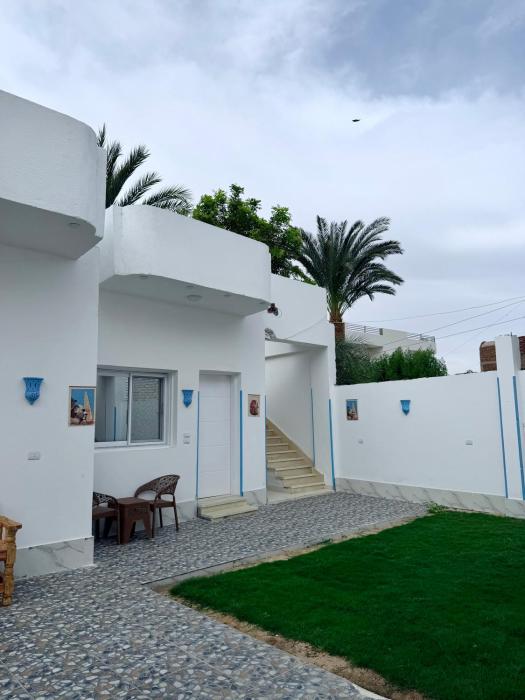 Secrets Of The Nile - Steps from Nile