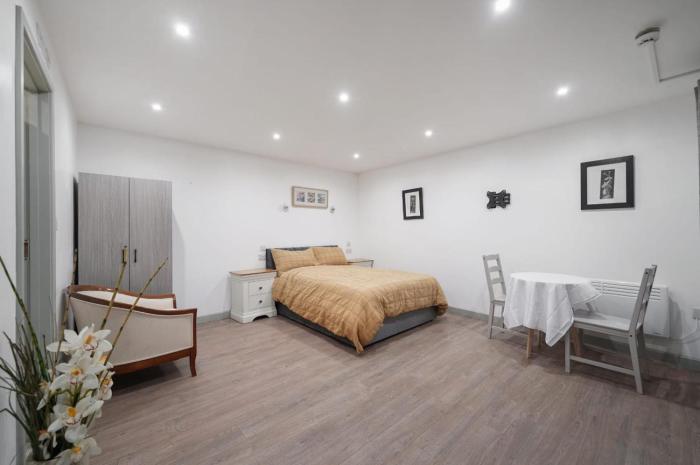 Modern Studio Flat