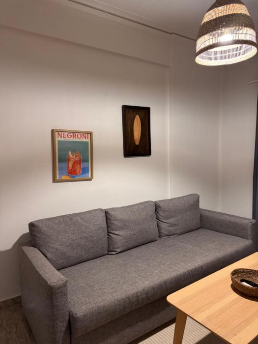 Psani 50m2 apartment