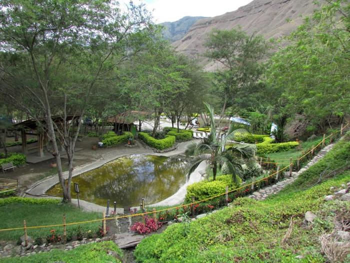 Las Palmas Finca Cafetera, Buesaco Nariño