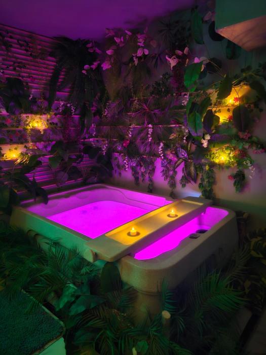 Lapparthôtel - 1 Appartement Love Room avec Spa Privatif & Autres Appartements Standards à thèmes sans spa