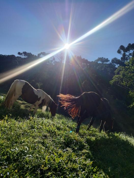 Cantinho dos Sonhos- Família