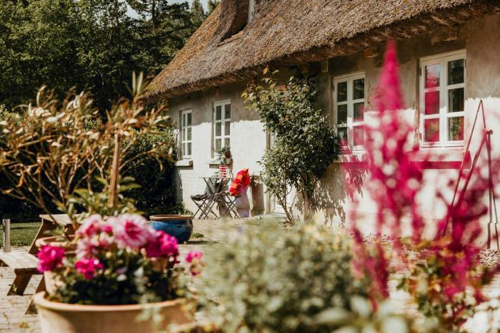 Charming And Historic Horse Farm From The 1700S