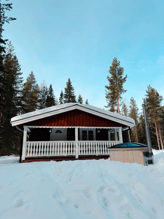 Luxe cabin in Hovfjället with Hot Tub