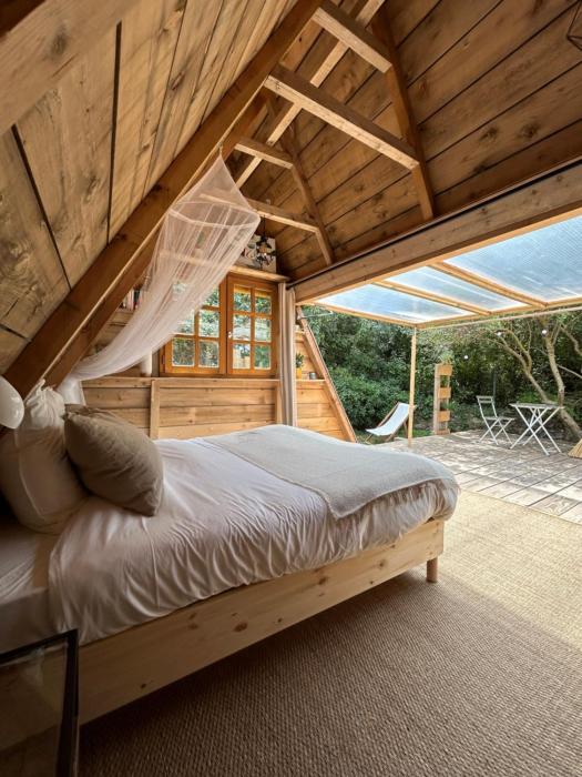 Le tipi dHamih