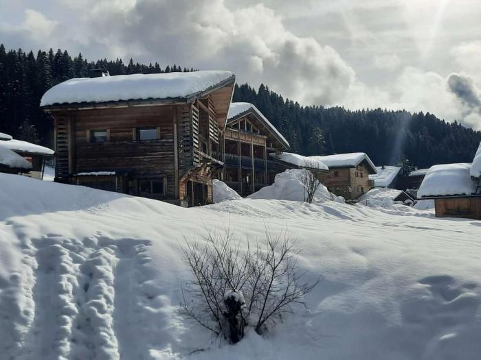 Appartement cosy 2 pièces aux Gets - 3 pers - Garage - Proche pistes et navette - FR-1-802-20