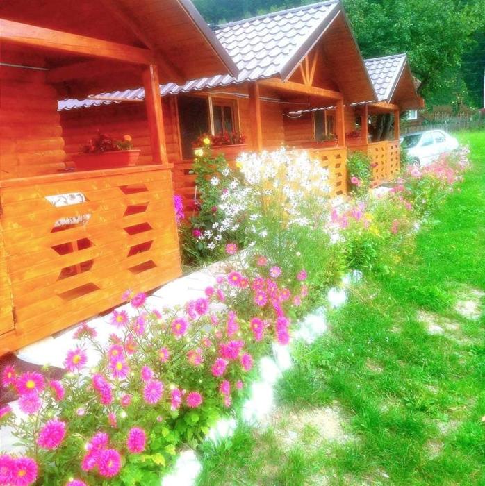 Căsuțele Camping AliMar