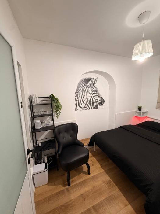 Zebra Home Bucharest