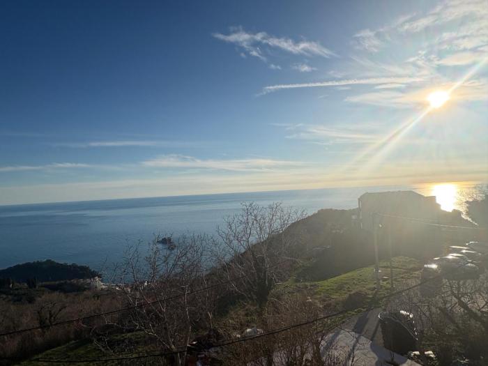 Njaro del Mar Zukovica 2
