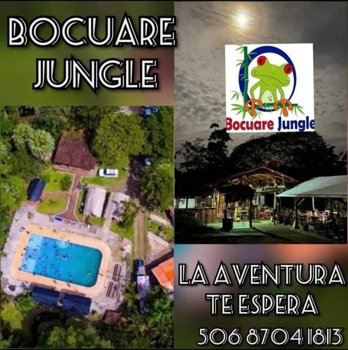 Bocuare Jungle