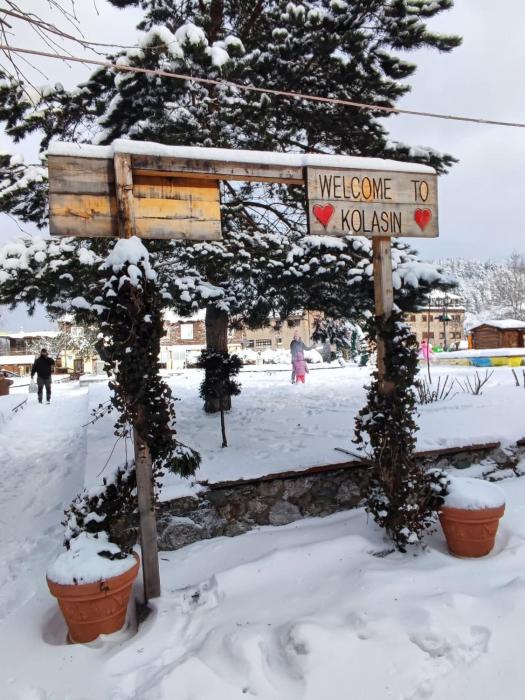 Guess House Tara Studio