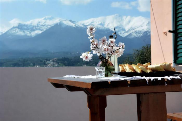 5-bedroom Country House in Crete - Olive Grove Retreat