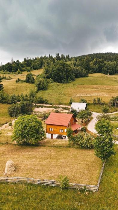 Apuseni Wood House