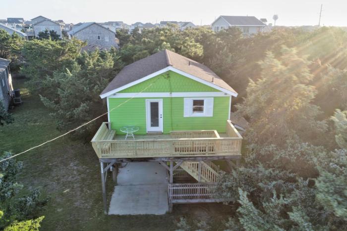 AVHC61 The Green Turtle