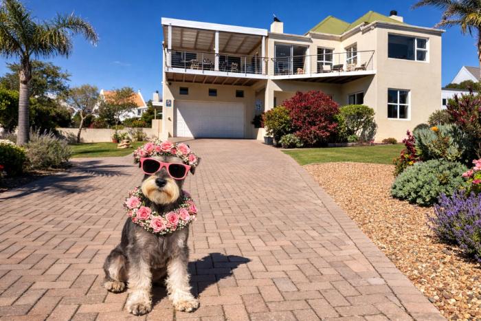 Coastal Haven - Morning Brews, Views & Pet Crews