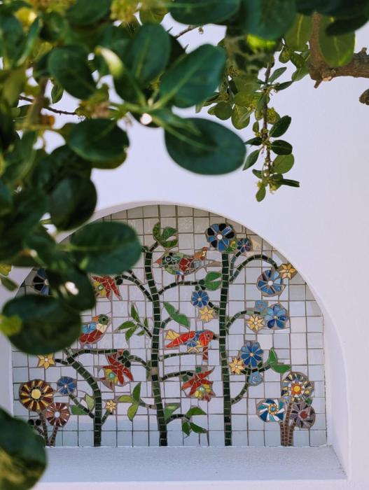 House Zandvlei Muizenberg Adventure