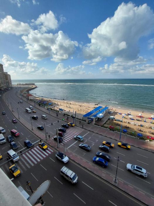 شقة اسكندرية