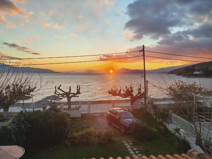 The Loula Collection - Horizon Suite