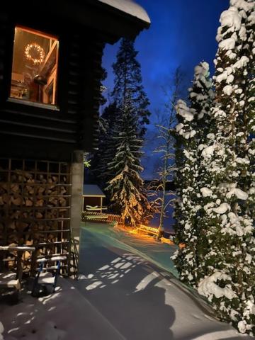 Järvenrantamökki Nurmijärvellä