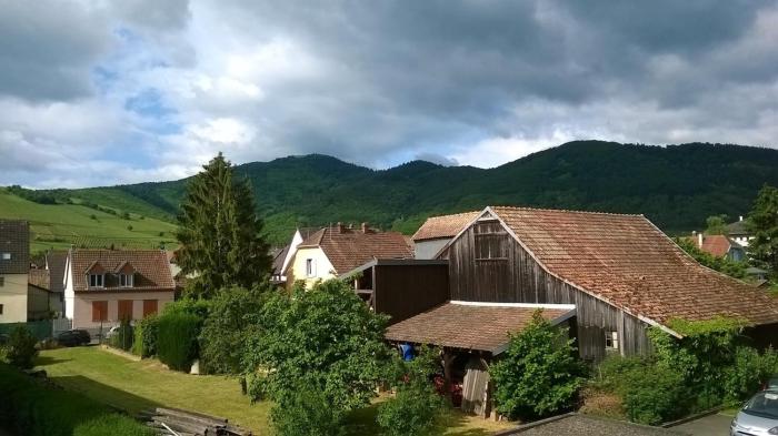 Studio au coeur du Vignoble