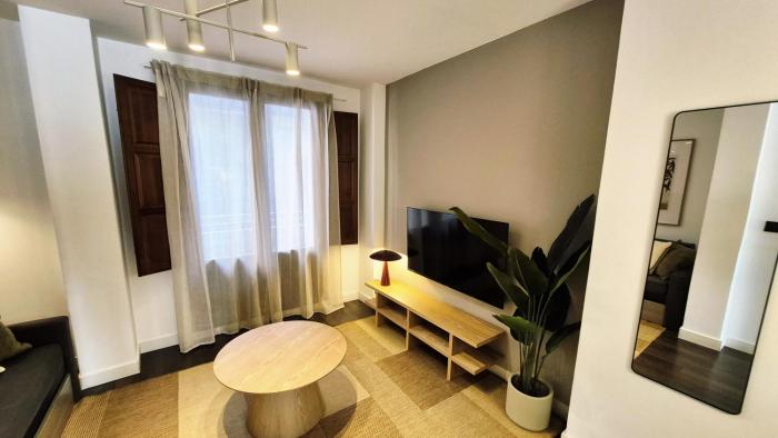 Apartamentos Carmen del Turia