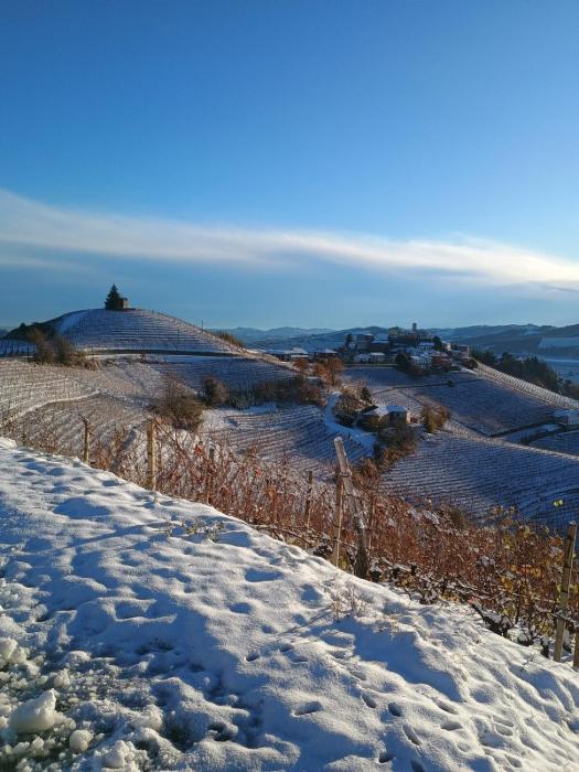 Beautiful private house among the Moscato vineyards