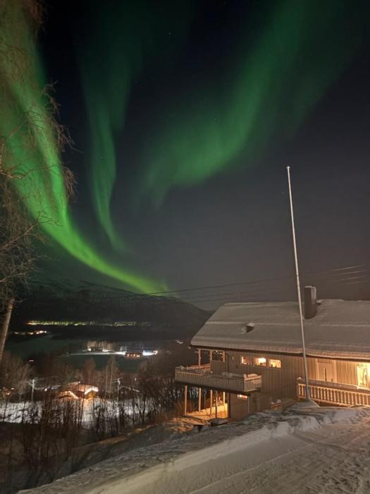 Central apartment in Takelvlia!