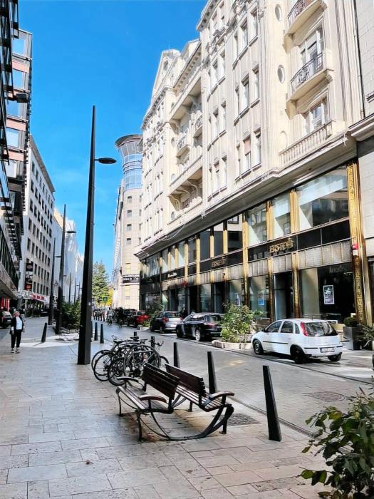 Spacious Apartment for Rent in the Heart of Budapest, Fashion Street, 5th District
