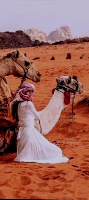 Wadi Rum Sand moon Camp &Tour