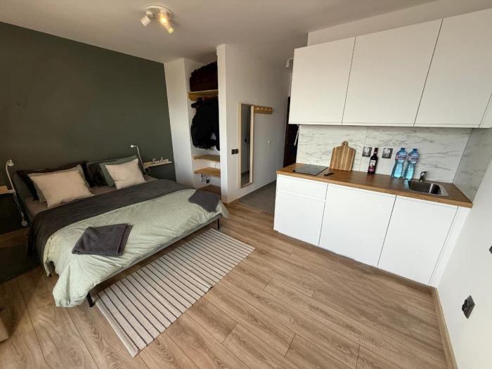 Modern Studio with Gondola View