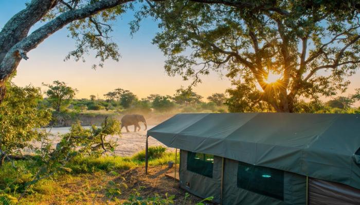 Kruger Untamed - Tshokwane River Camp