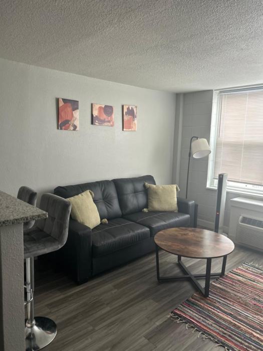 Cozy 1 bedroom apartment near downtown Cincinnati on the 10th floor
