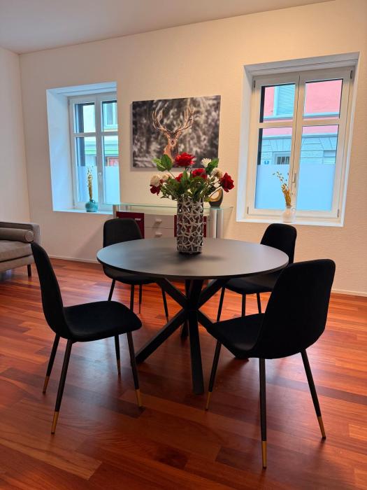 Stylish Flat walking distance to Zurich Mainstation