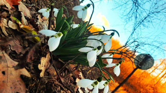 Rókabérc Vadászház Hotel