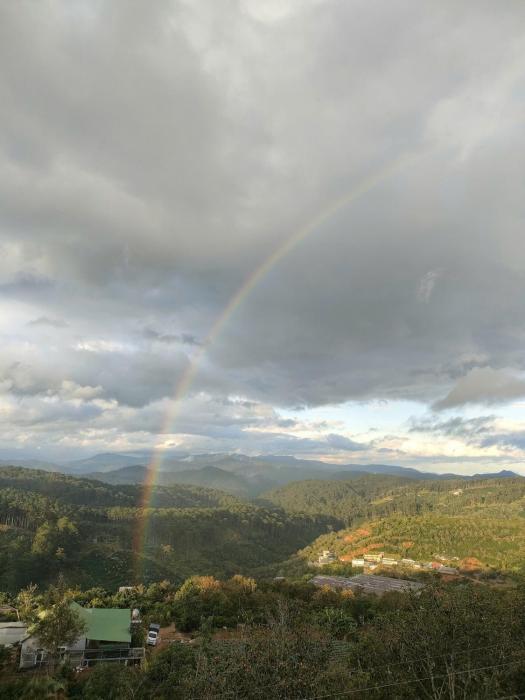 Homestay Coffee Thanh Trúc