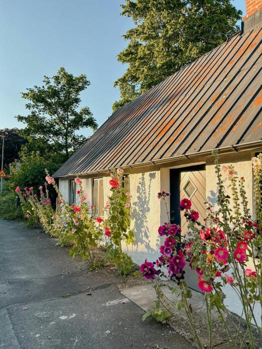 Charming House In Österlen With Lush Garden