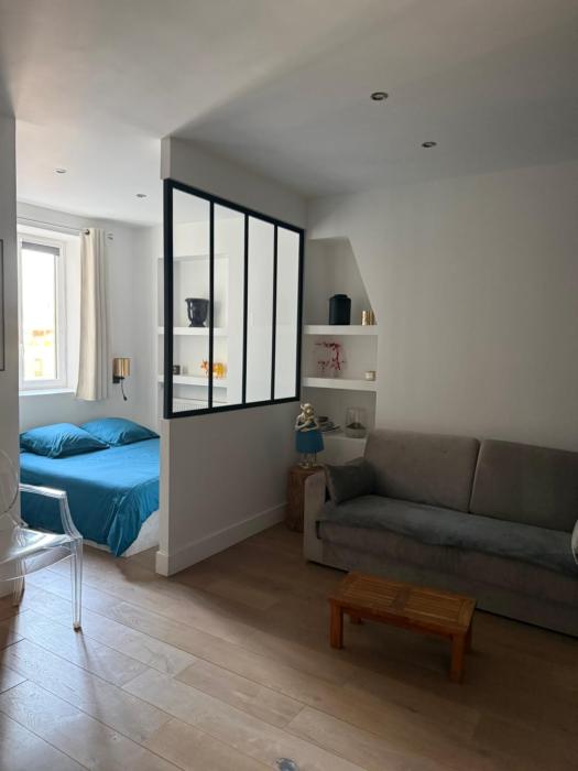 Studio totalement rénové en plein centre-ville devant la Préfecture de Lyon