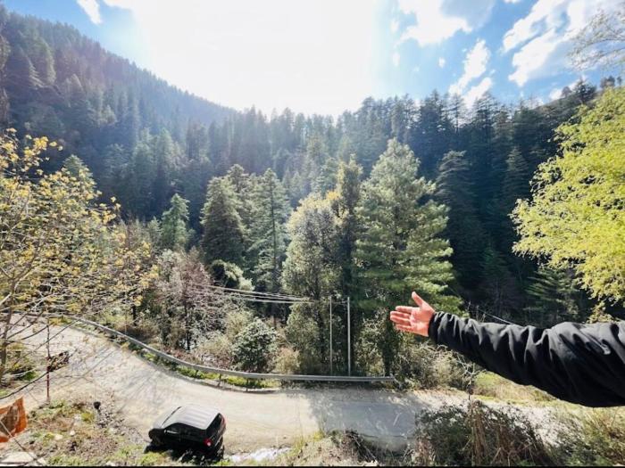 Sharaji cottage #premium room # cafe #comforable stay