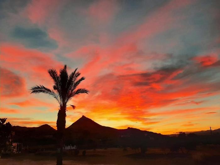 Complejo Delfos Mojácar