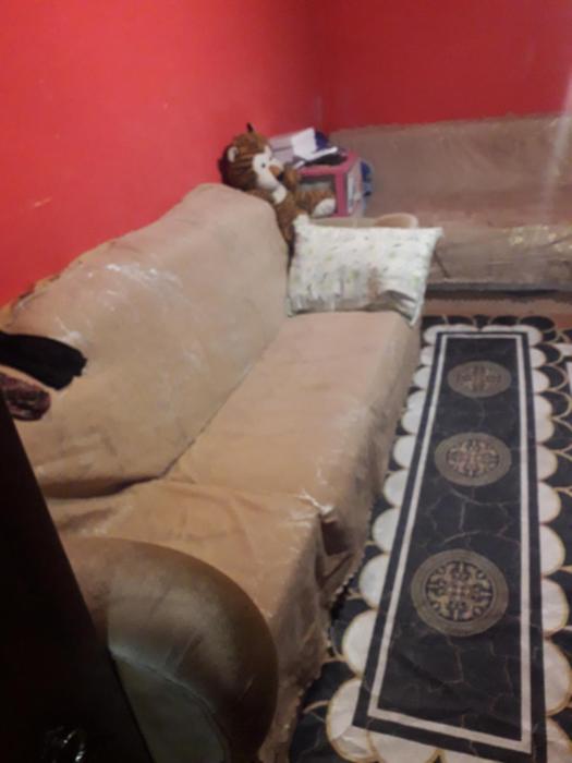 Стая с 2 легла